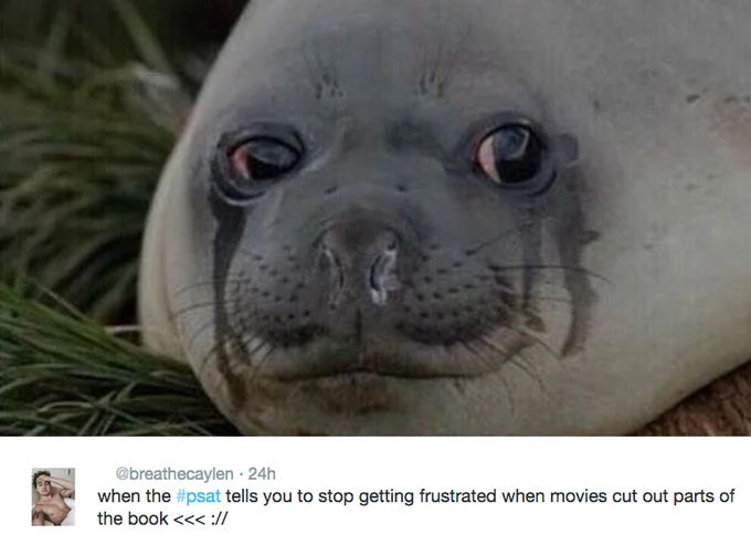 Sad elephant seal photo in a psat tweet about book-to-movie frustration