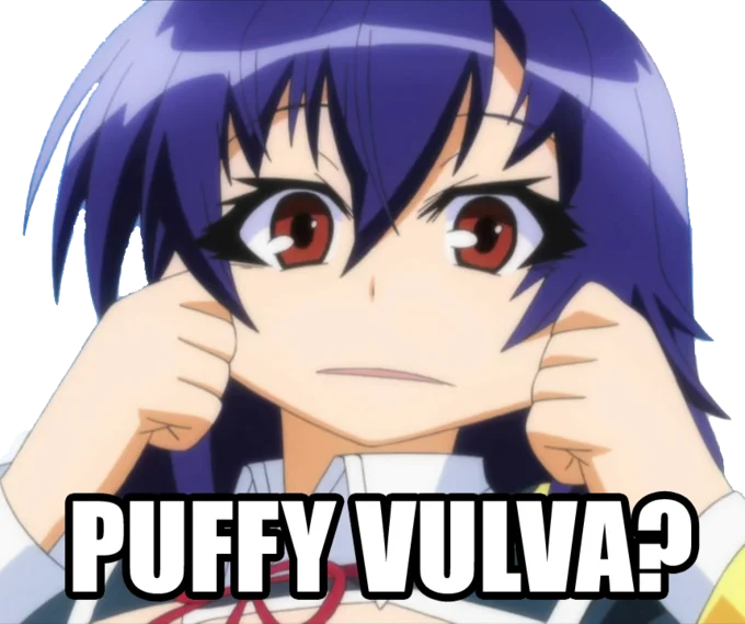 Purple-haired anime schoolgirl pulling cheeks with 'PUFFY VULVA?' caption