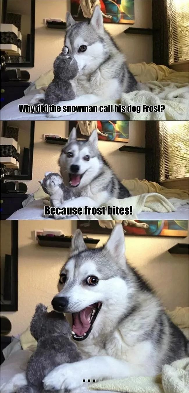 Pun Dog meme with a snowman frost bites pun
