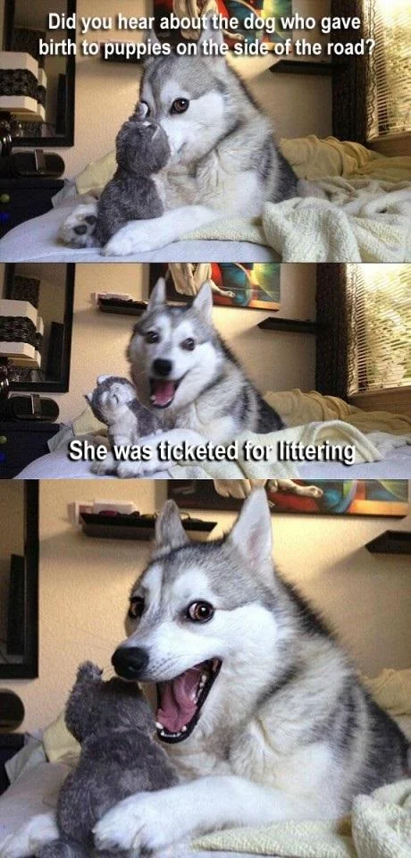 Pun Dog meme with a littering roadside puppies pun