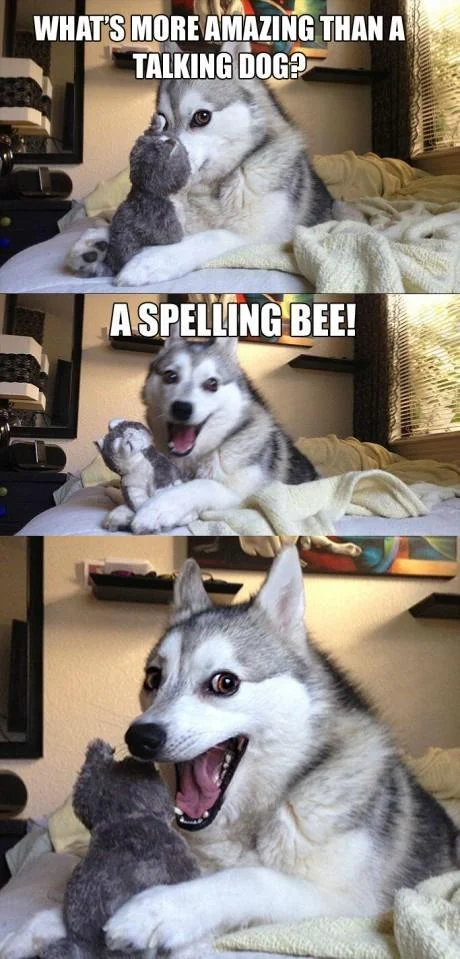 Pun Dog meme with a spelling bee pun about a talking dog
