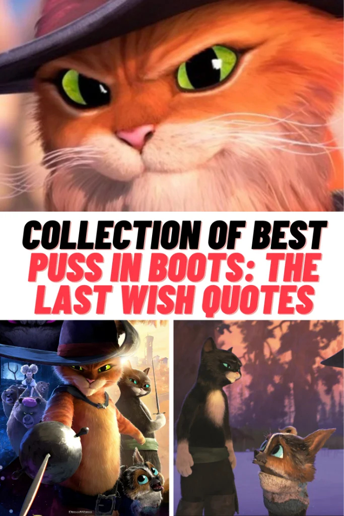Puss in Boots: The Last Wish — A collection meme showcasing Puss in Boots character and three film scenes from The Last Wish, featuring the orange cat with