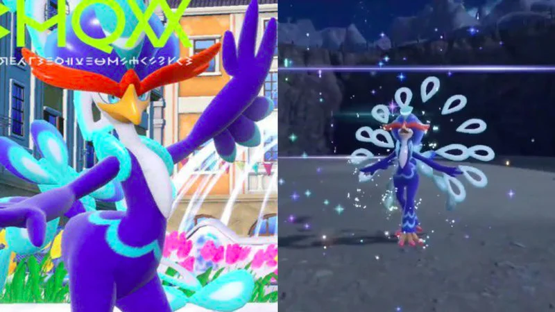 A split-screen composite image comparing Quaquaval in the Pokémon Scarlet and Violet game environment on the left with an alternate rendering on the right