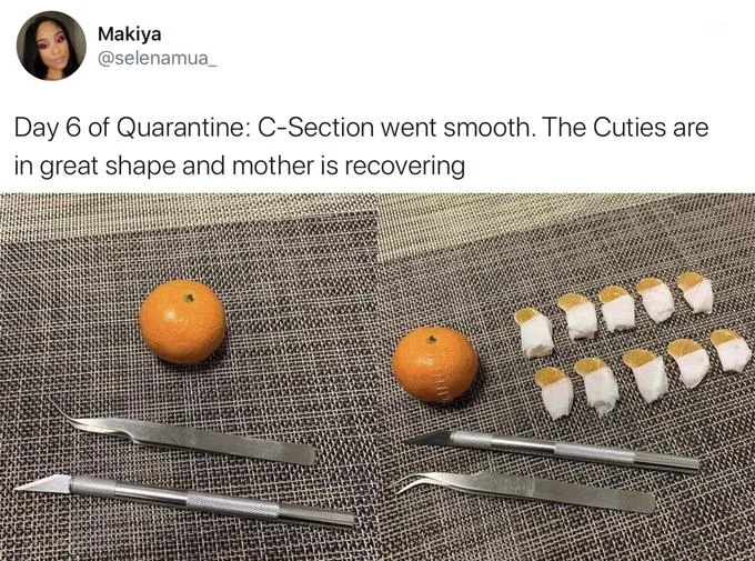 Quarantine Day X — Twitter post from user Makiya showing Day 6 of Quarantine with a humorous C-section-inspired arrangement of surgical instruments and citrus