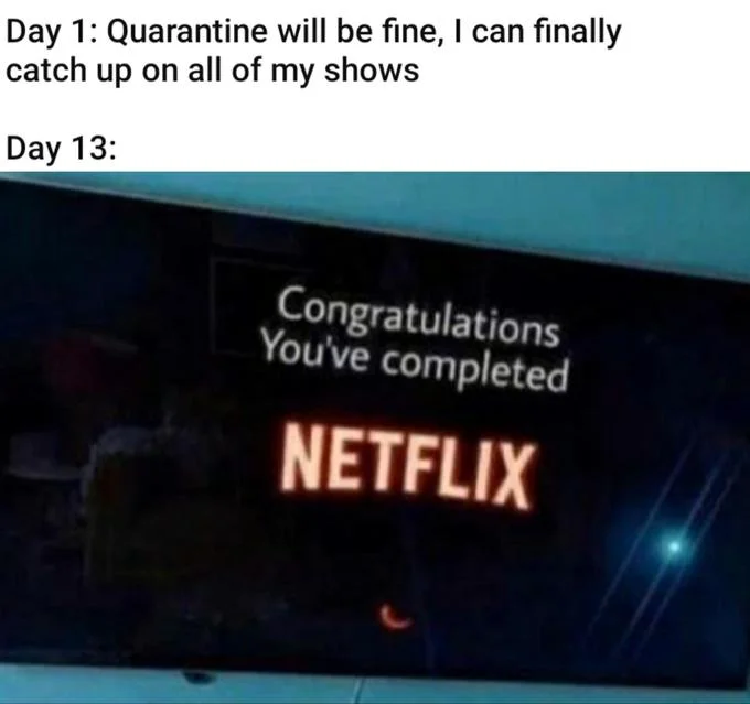 Quarantine Day X meme contrasting Day 1 optimism about catching up on shows with Day 13 reality showing Netflix's completion screen.