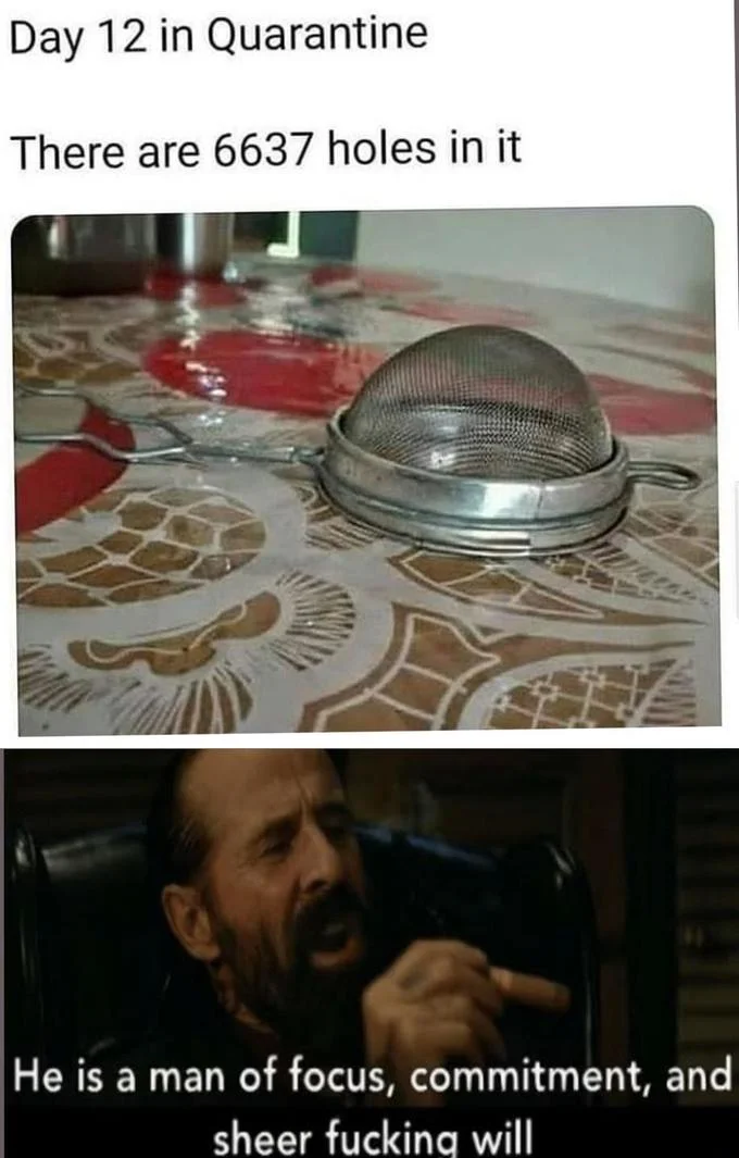 Quarantine Day X — Day 12 in Quarantine meme featuring a strainer dome with humorous text about counting holes paired with an intense reaction image.