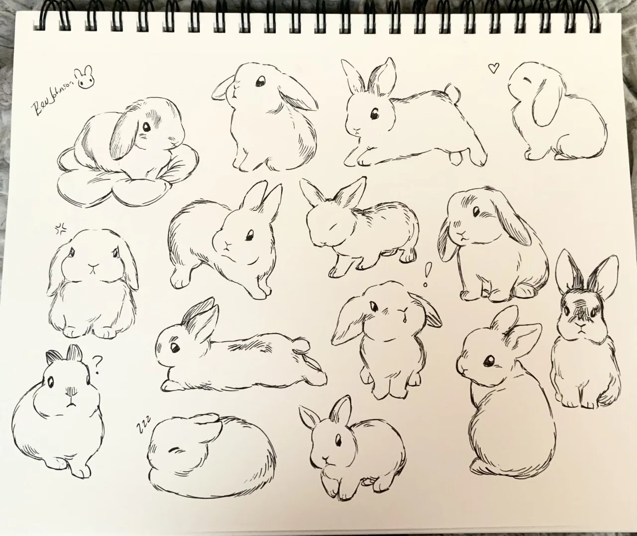 Rabbits — Sketchbook page with many hand-drawn rabbit illustrations in different poses