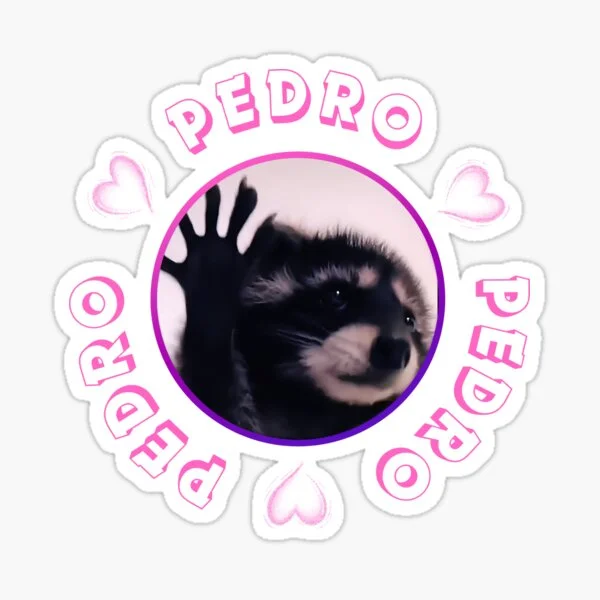 Raccoon Dancing in a Circle — Pink Pedro raccoon sticker design with the word Pedro repeated around a circular photo of the raccoon