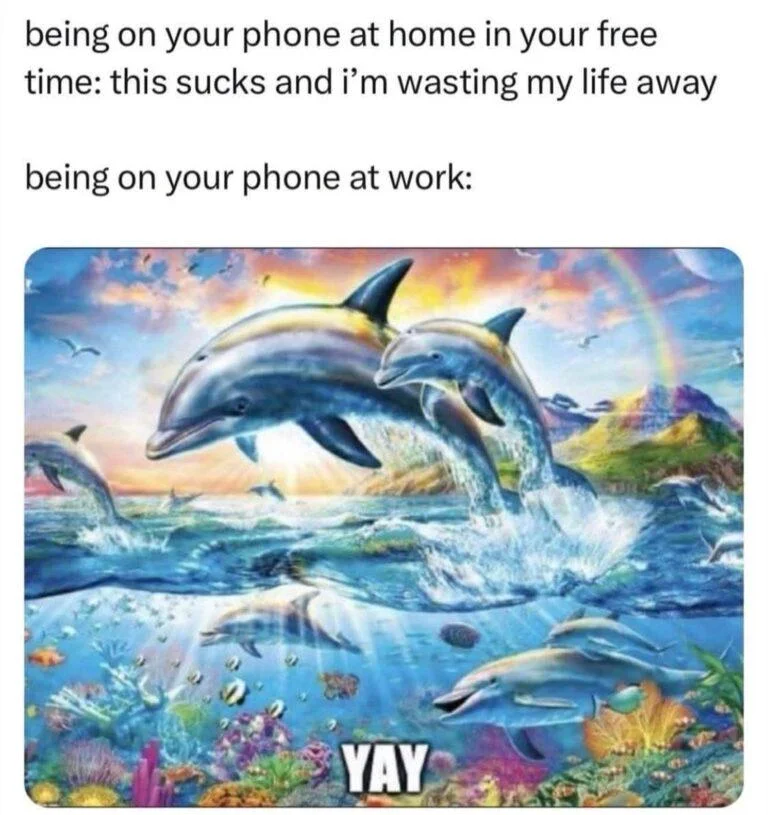 Rainbow Dolphin — Phone usage meme with dolphin fantasy artwork captioned 'YAY'