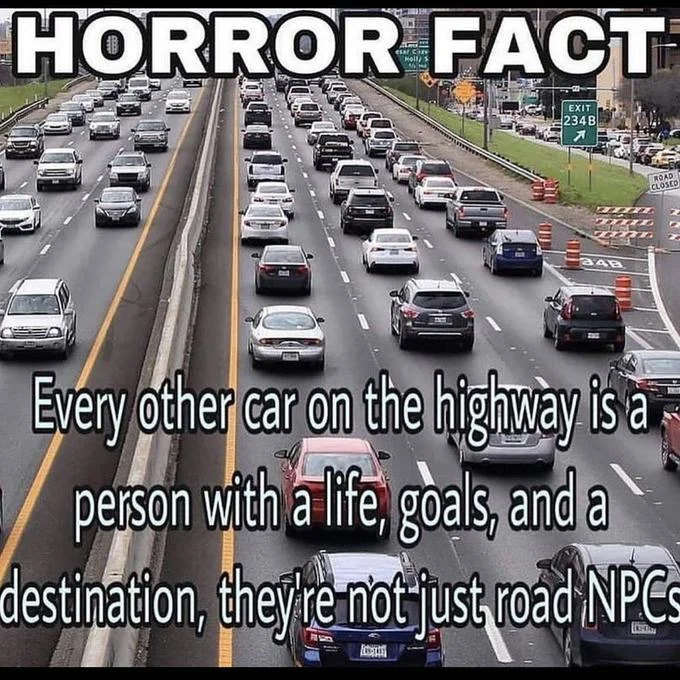Real Life Npc — Highway traffic meme labeled 'Horror Fact' noting that other drivers are real people, not NPCs