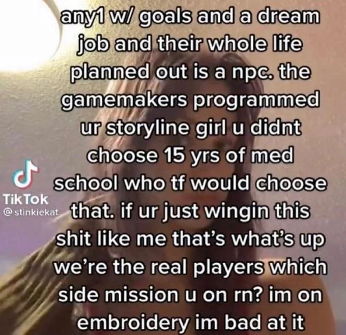 Real Life Npc — TikTok post by stinkiekat arguing that people with life plans are NPCs and improvisers are the real players