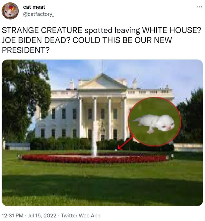 Red Circle Perpetrators — Tweet screenshot of the White House with red circle around a tiny kitten identified as suspect.