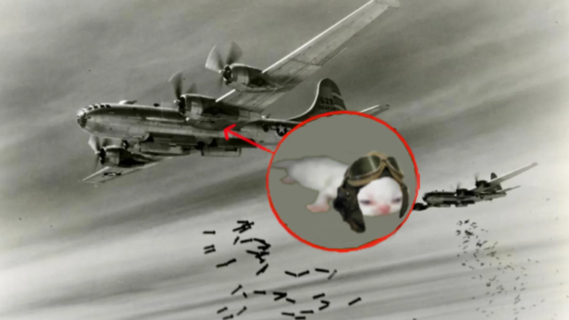 Red Circle Perpetrators — WWII bomber with red circle around a cat in pilot goggles identifying it as the culprit.