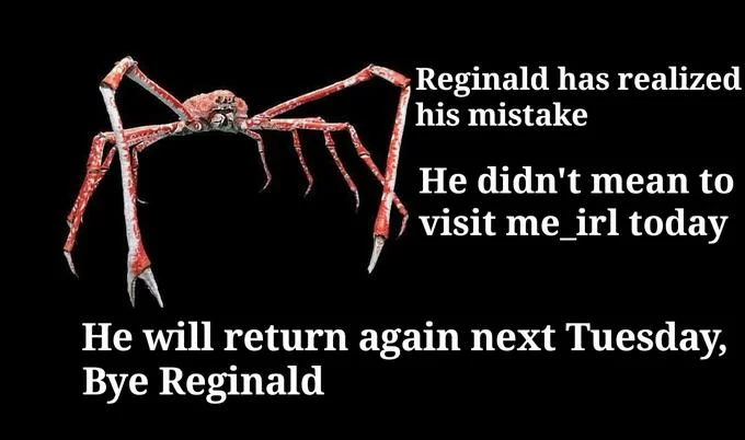 Reginald meme saying he made a mistake and will return next Tuesday