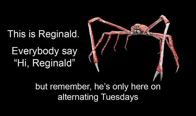 Reginald meme introducing the spider crab as appearing on alternating Tuesdays