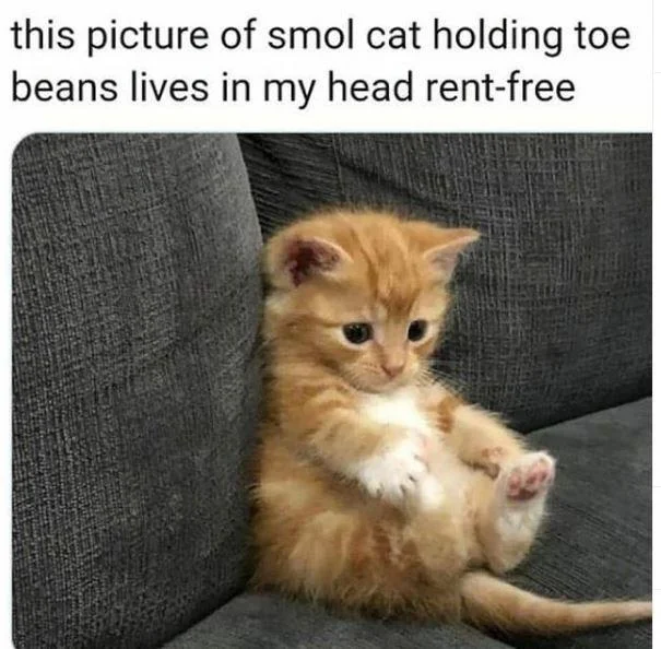 Rent Free — Cute ginger kitten with text 'this picture lives in my head rent-free'