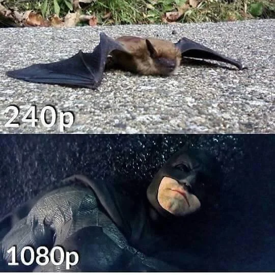 Resolution Comparisons — A humorous resolution comparison meme featuring a heavily pixelated unrecognizable creature at 240p resolution on the left contrasted