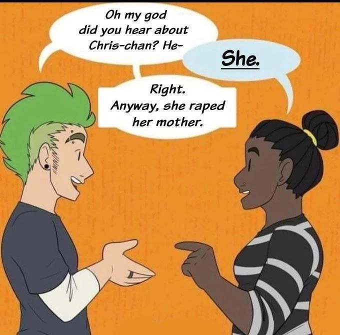 Respecting Trans People's Pronouns — Chris-chan parody of the pronouns meme with dialogue referencing the infamous incident