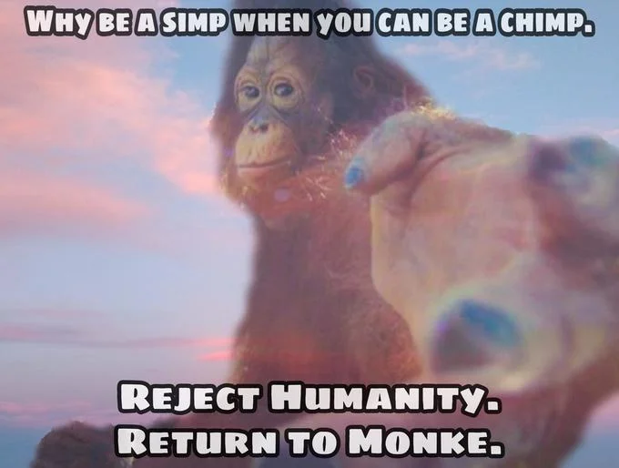 An orangutan photograph against pink and blue gradient sky with text 'WHY BE A SIMP WHEN YOU CAN BE A CHIMP' and 'REJECT HUMANITY. RETURN TO MONKE.'