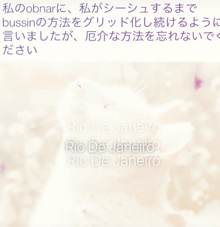 Rio De Janeiro Instagram Filter — Small tilted image with Japanese text and Rio De Janeiro filter overlay