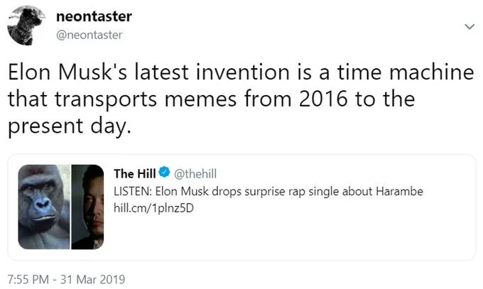 Elon Musk's "RIP Harambe" — Neontaster tweet joking Elon Musk built a 2016 meme time machine