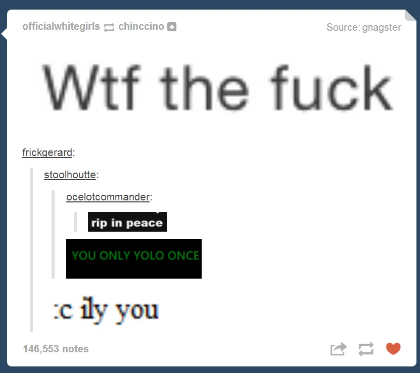 Tumblr screenshot with replies 'rip in peace', 'YOU ONLY YOLO ONCE' and 'Wtf the fuck'.