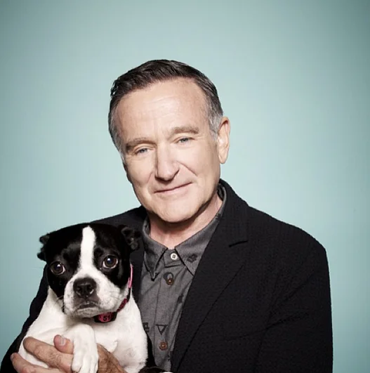 Robin Williams smiling and holding a Boston Terrier puppy in a studio portrait