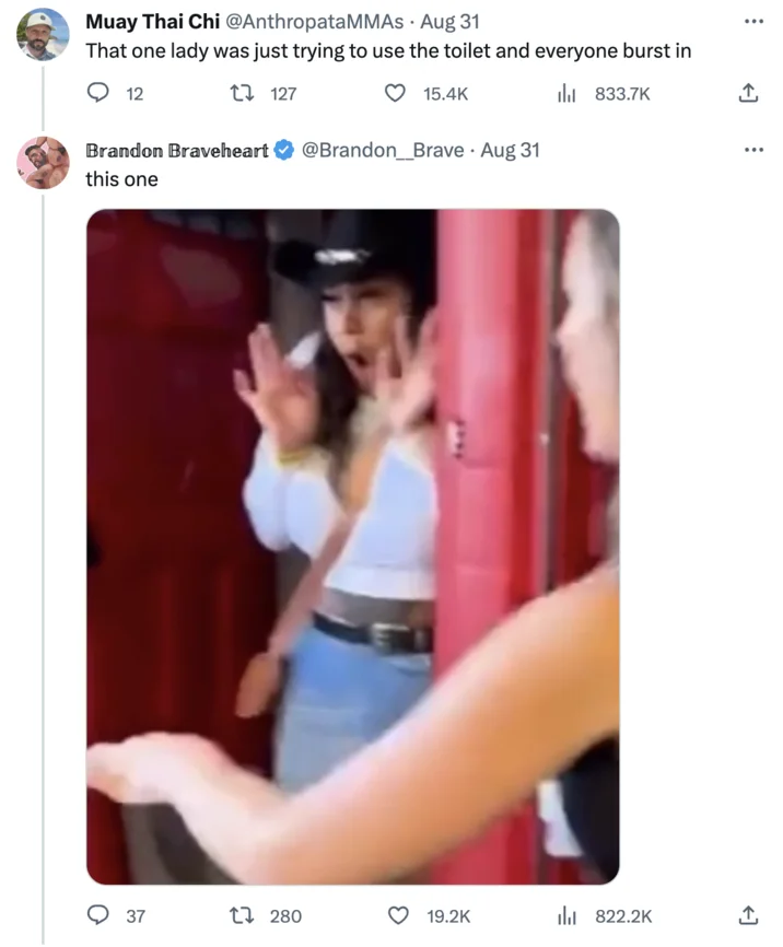 Romper Stomper Fight Video — Twitter screenshot of tweet discussing a woman trapped in a porta-potty during a concert brawl, with image of her raising her