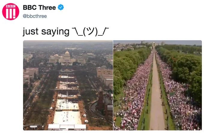 Royal Wedding of Prince Harry and Meghan Markle — Royal Wedding tweet with cat looking away meme.