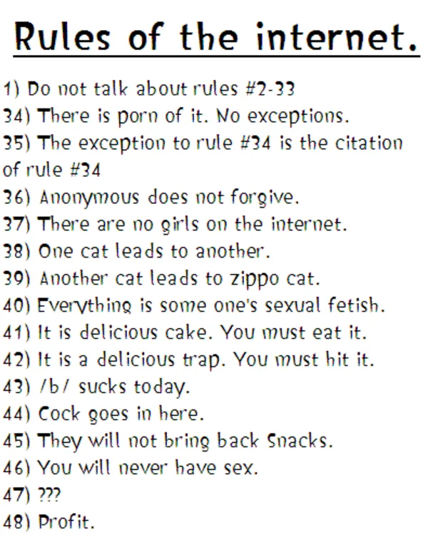 Rules of the Internet — Plain text list of Rules 1-48 on white background with famous internet culture rules including Rule 34 and internet customs.
