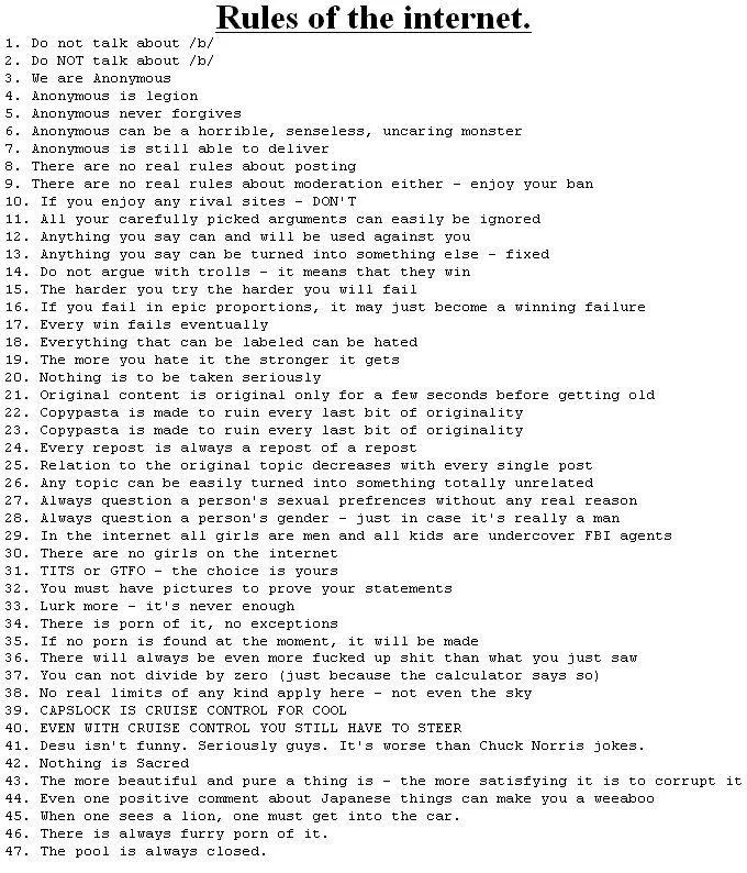 Plain text list of 45+ numbered 'Rules of the internet' on white background in readable uncluttered format without design embellishments.