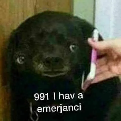 Sad Dog On The Phone