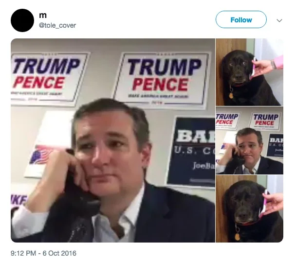 Sad Dog On The Phone