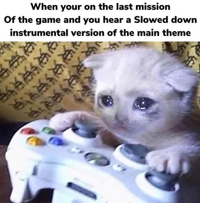 Sad Gaming Cat — Teary kitten on Xbox controller meme about a slowed instrumental of the main theme on the final mission.