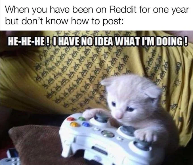 Sad Gaming Cat — Kitten on Xbox controller meme with Reddit caption and 'I have no idea what I'm doing' inset.