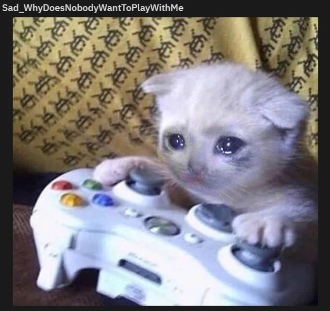 Sad Gaming Cat — Screenshot of crying kitten on Xbox controller labeled 'Sad_WhyDoesNobodyWantToPlayWithMe'.