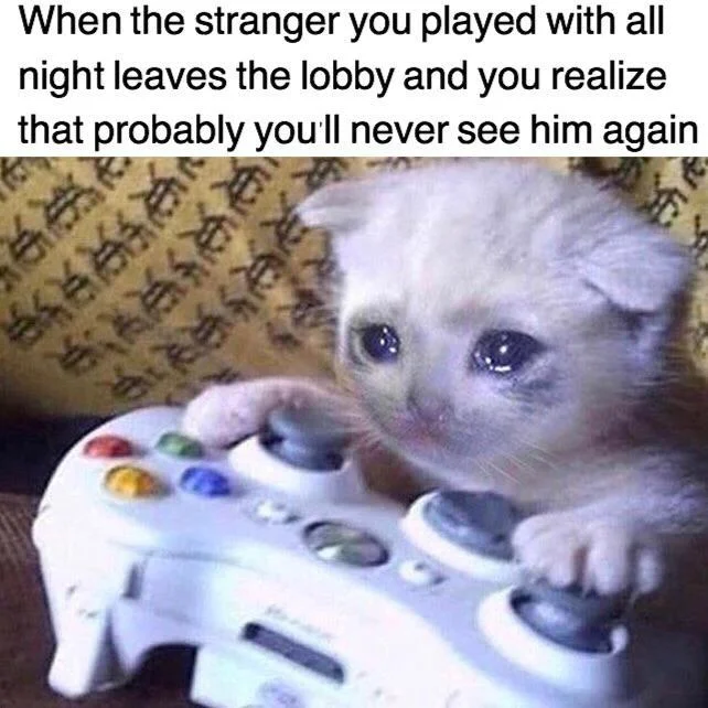 Sad Gaming Cat — Teary kitten on Xbox controller meme about an online stranger leaving the lobby forever.
