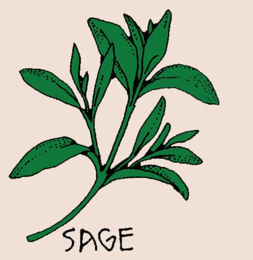 Sketch of an angry cartoon person shouting SAGE repeatedly