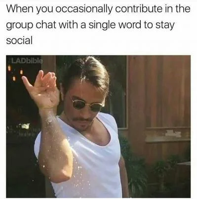 Salt Bae reaction meme with Nusret Gökçe dramatically sprinkling salt with text about occasional group chat contribution.
