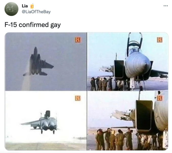 Same Sex Marriage Just Won't Fly — Tweet from Lia reading F-15 confirmed gay with four images of F-15 fighter jets.