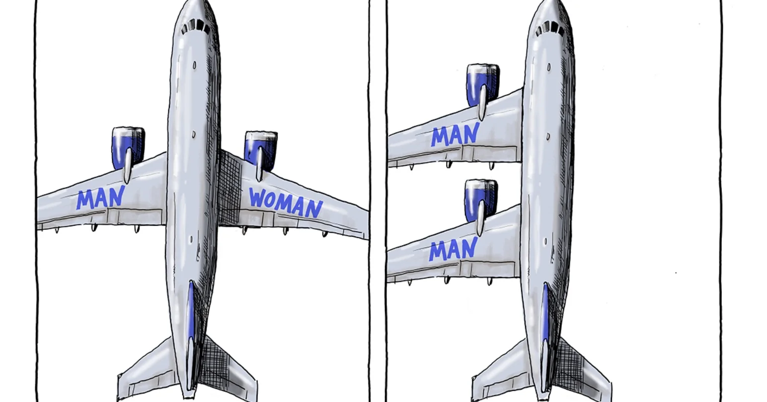 Same Sex Marriage Just Won't Fly — Two-panel cartoon of airplanes with wings labeled MAN and WOMAN versus two MAN wings stacked on one side.