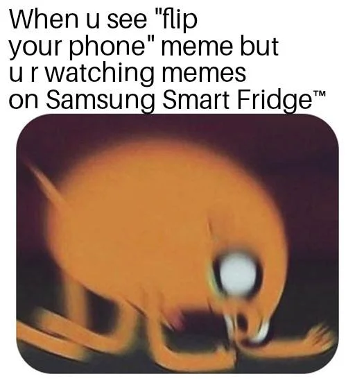 Samsung Smart Fridges — Blurry Pain Jake Adventure Time meme about watching flip-your-phone memes on a Samsung Smart Fridge