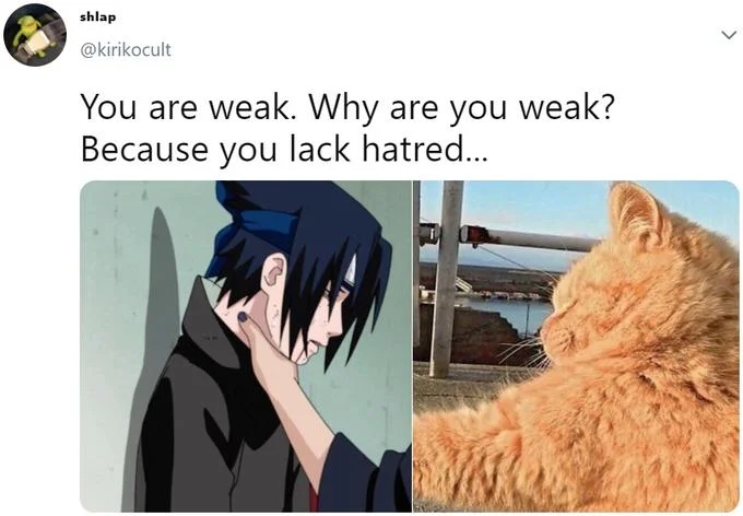 Sasuke Choke Edits — Tweet pairing the Sasuke choke image with a photo of an orange cat and the caption 'you lack hatred'