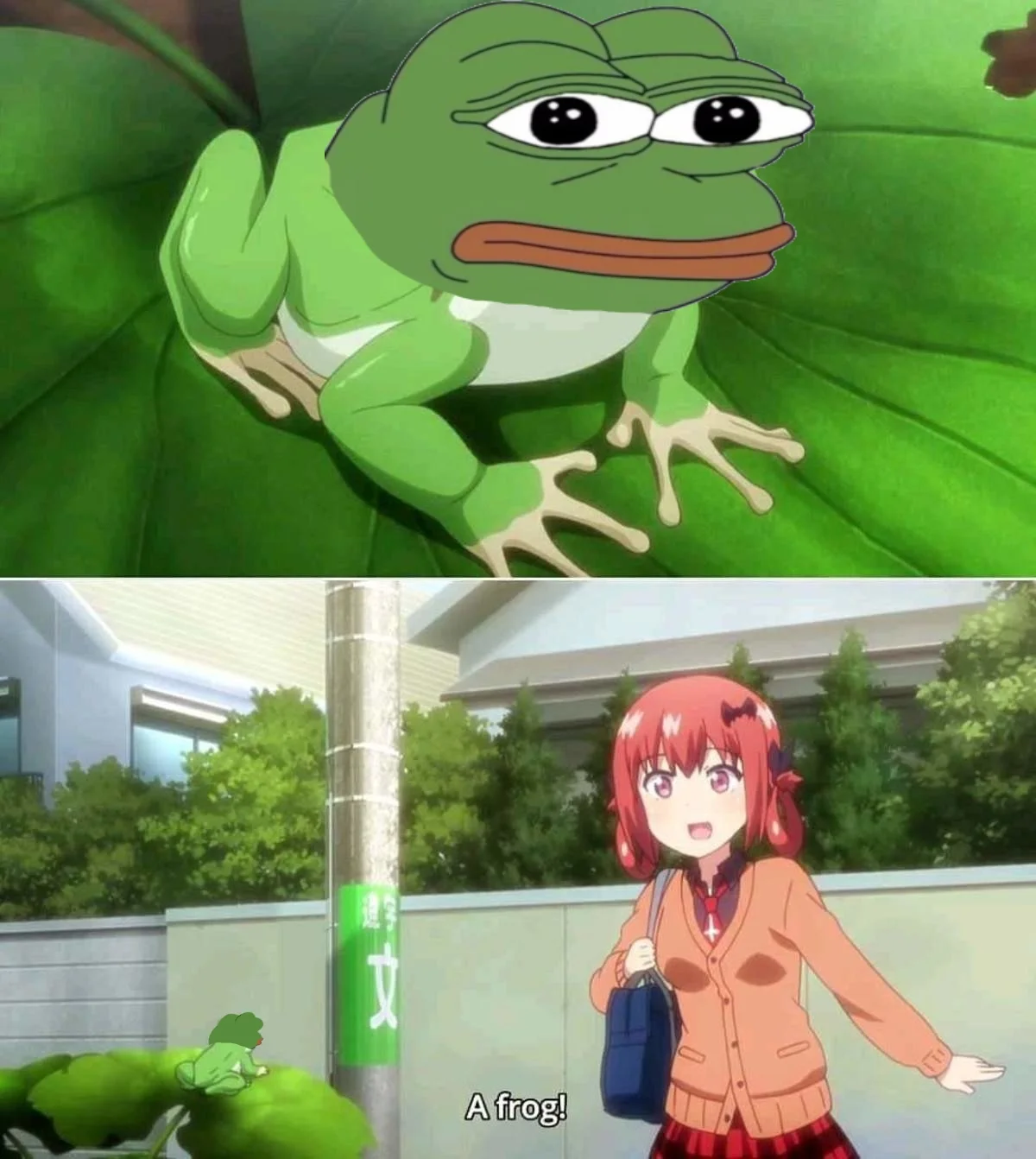 Two panel meme with Pepe the Frog face edited onto anime frog and Satania saying 'A frog!'