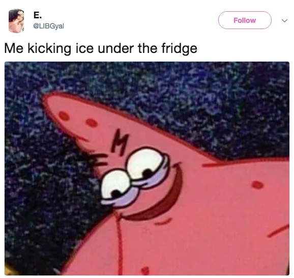 Tweet by E. @LIBGyal captioned 'Me kicking ice under the fridge' with the Savage Patrick image