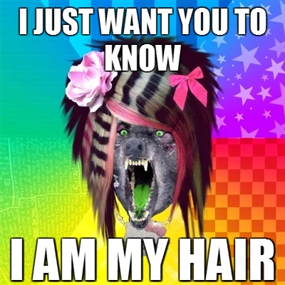 Scene Wolf meme captioned 'I just want you to know, I am my hair'