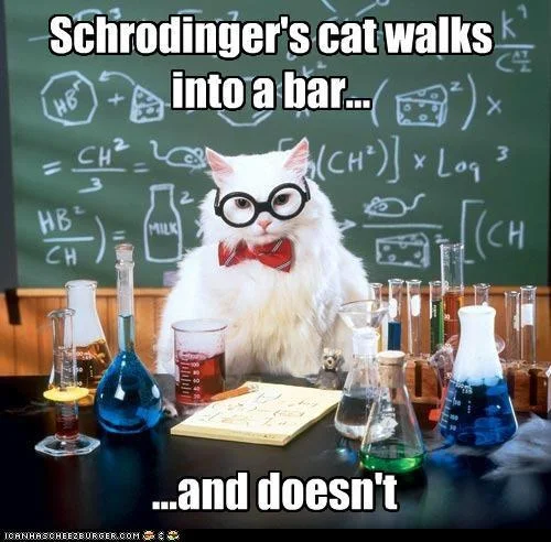 Schrodinger's Cat — Cartoon of a gray cat with a gun in a box, captioned about one of them dying when the box is opened.