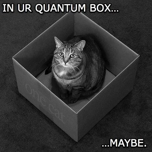 Schrodinger's Cat — Four-panel stick figure comic titled Schrödinger's Comic joking about superposition of humor.