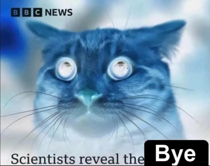Scientists Reveal the Hi — Blue-tinted edit of the startled cat BBC News meme with 'Bye' label covering caption