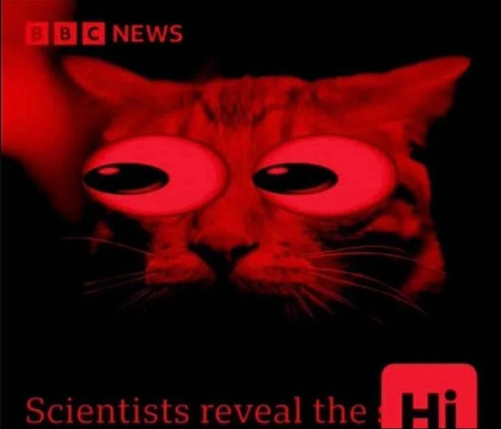 Scientists Reveal the Hi — Dark red horror edit of the startled cat BBC News meme with glowing eyes